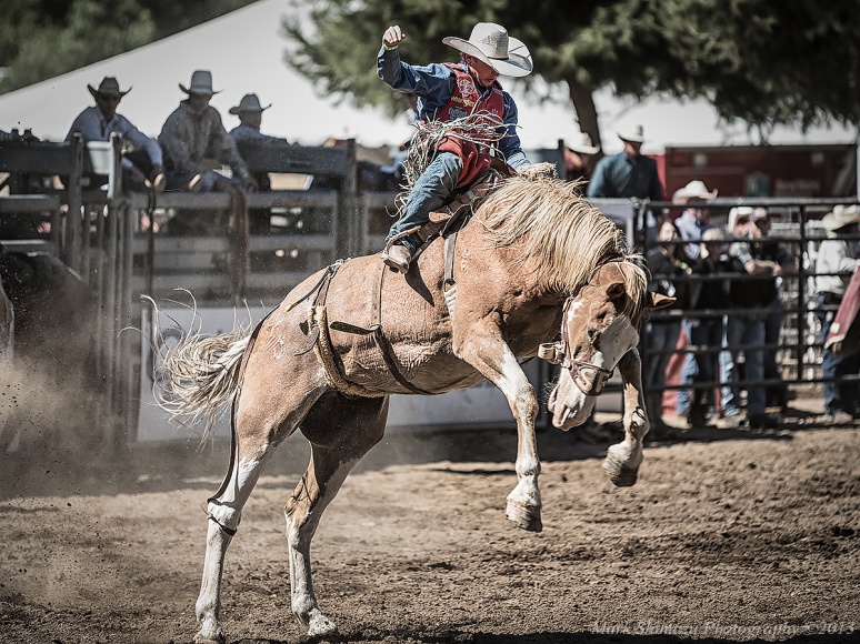Poway Rodeo cowboy horse bronco